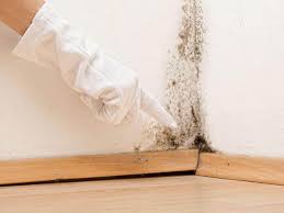 Mold Remediation for Rental Properties in St Georges, DE